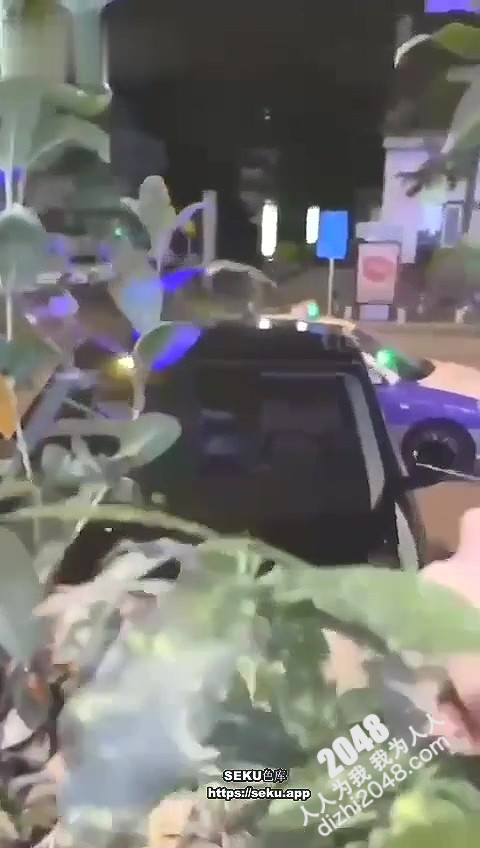 独家爆料 - 厦门路虎门！女车主醉酒叫代驾激战 2 小时事件 完整视频流出